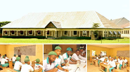 St. Gerard Home Gallery Pictures