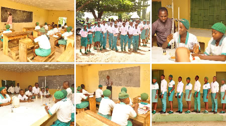 St. Gerard Home Gallery Pictures